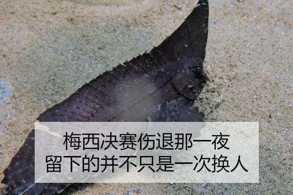 梅西决赛伤退那一夜 留下的并不只是一次换人
